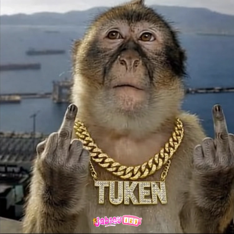 Galeri foto JABLAY123: Pusat Developer Slot777 Gampang Menang & Bonus Slot88 Resmi Terpercaya di Manado